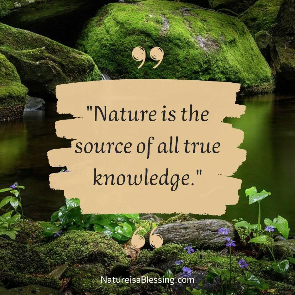 "Nature is the source of all true knowledge." - Nature is a Blessing