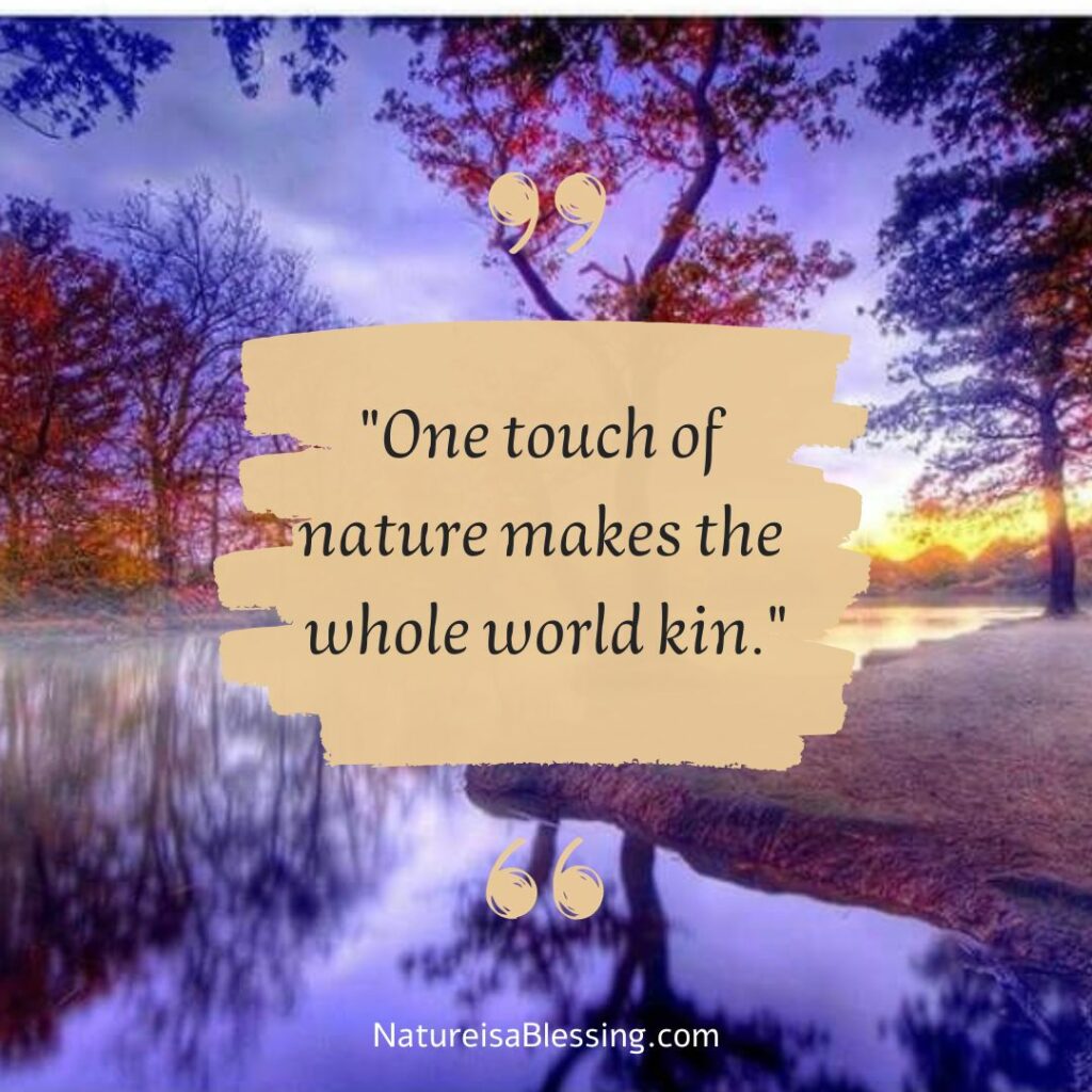 "One touch of  nature makes the  whole world kin." - Nature is a Blessing