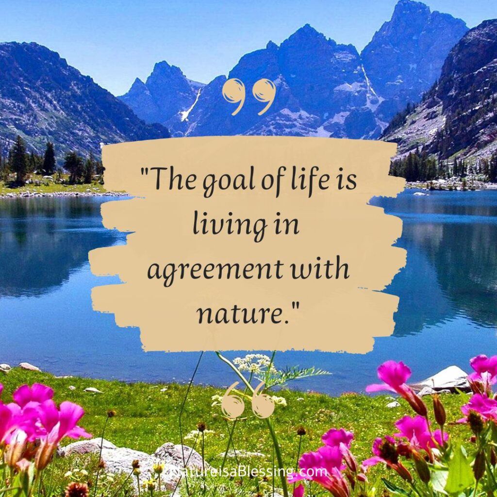 "The goal of life is living in  agreement with nature." - Nature is a Blessing